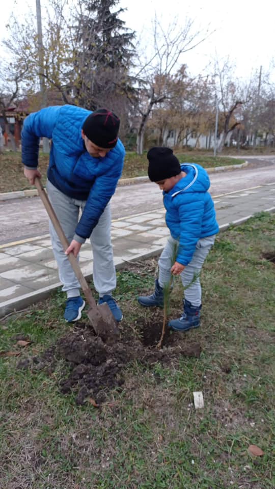 Засаждане на дръвчета