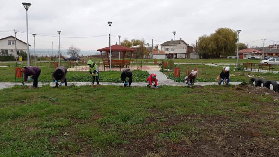 Засаждане на дръвчета