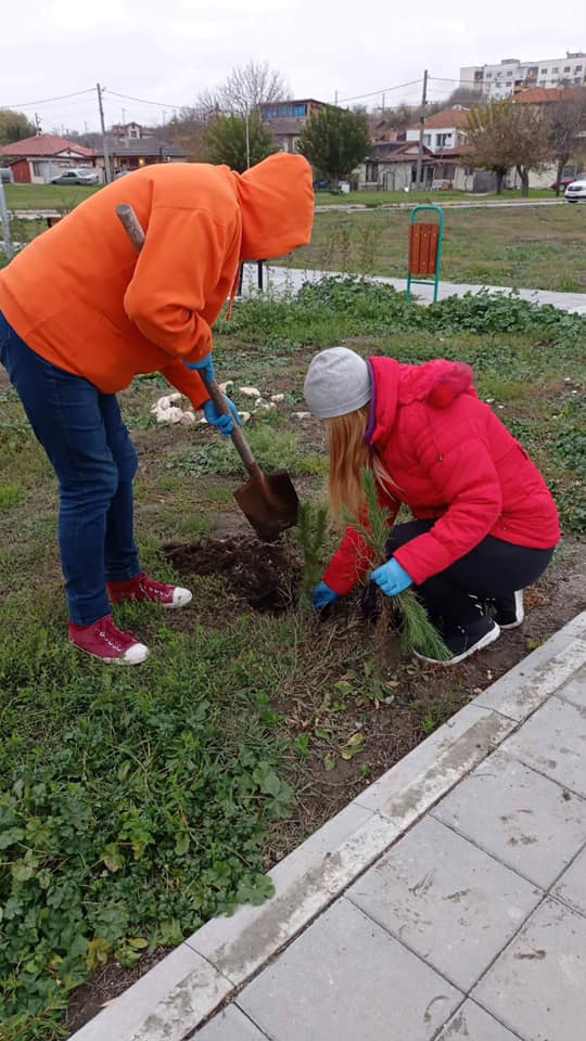 Засаждане на дръвчета