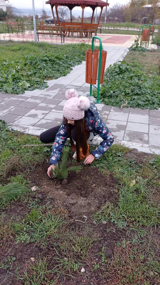 Засаждане на дръвчета