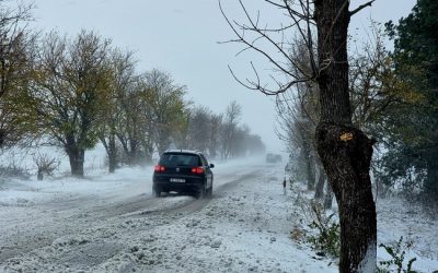 Зима във Варненско.