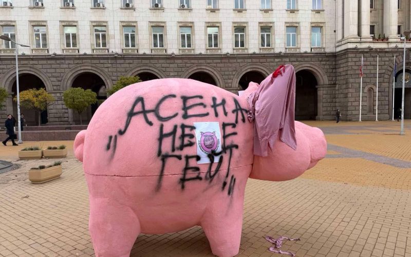 Розово прасе с надпис.