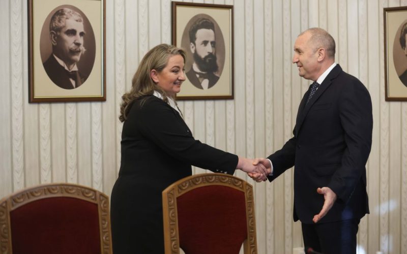 Президентът провежда консултациите с парламентарните групи в 51-ото Народно събрание. Държавният глава се среща със зам.-председателят на парламентарната група на ГЕРБ-СДС Деница Сачева.