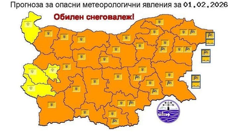 "Оранжев код".