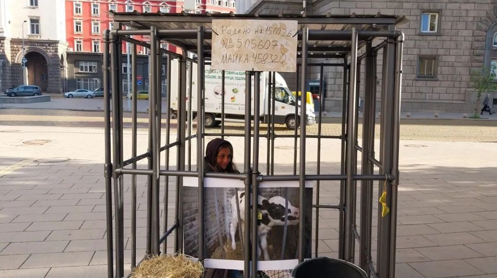 Жена се затвори в клетка пред Парламента.